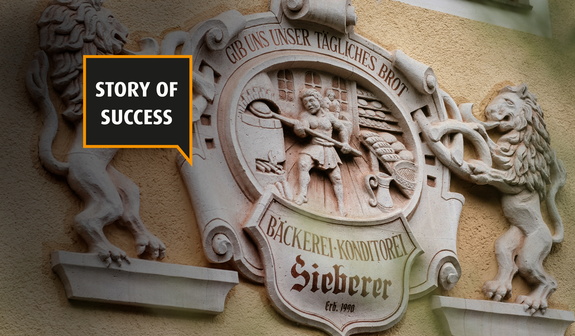 WP-MULTIROLL-Story of success